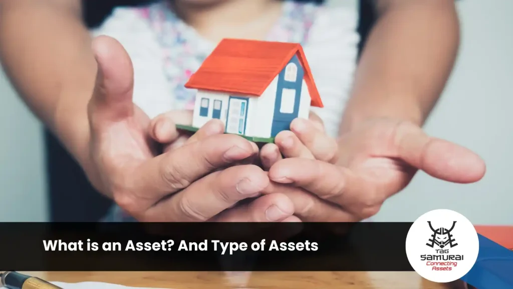What is an Asset And Type of Assets