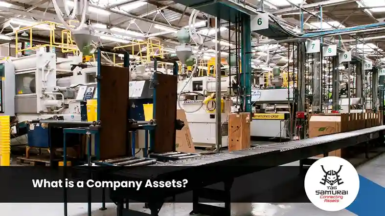 What-is-a-Company-Assets