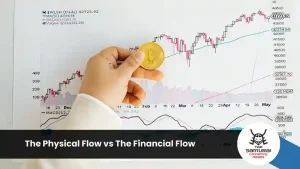 The Physical Flow vs The Financial Flow