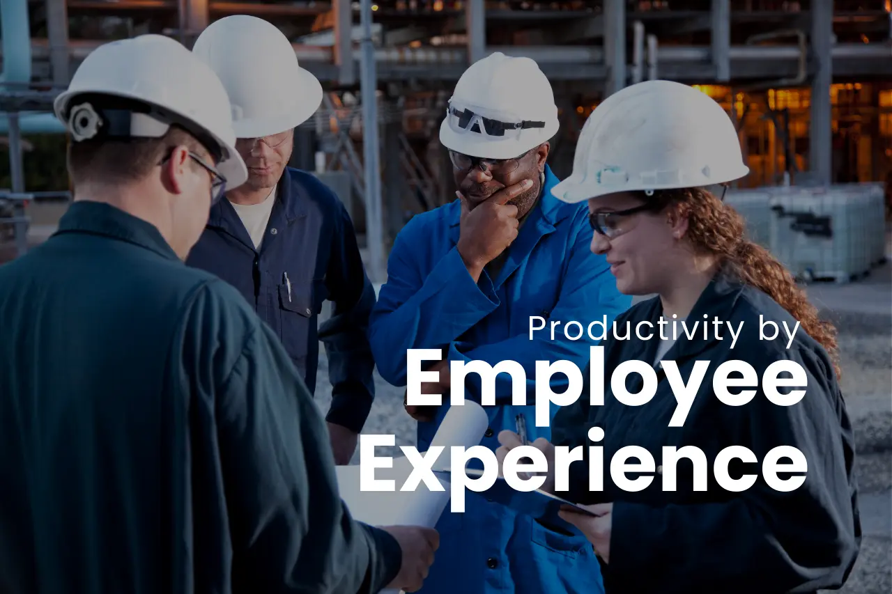 Productivity by Employee Experience