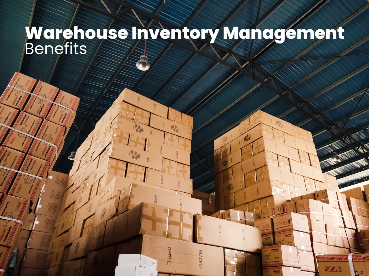 Warehouse Inventory Management Benefits