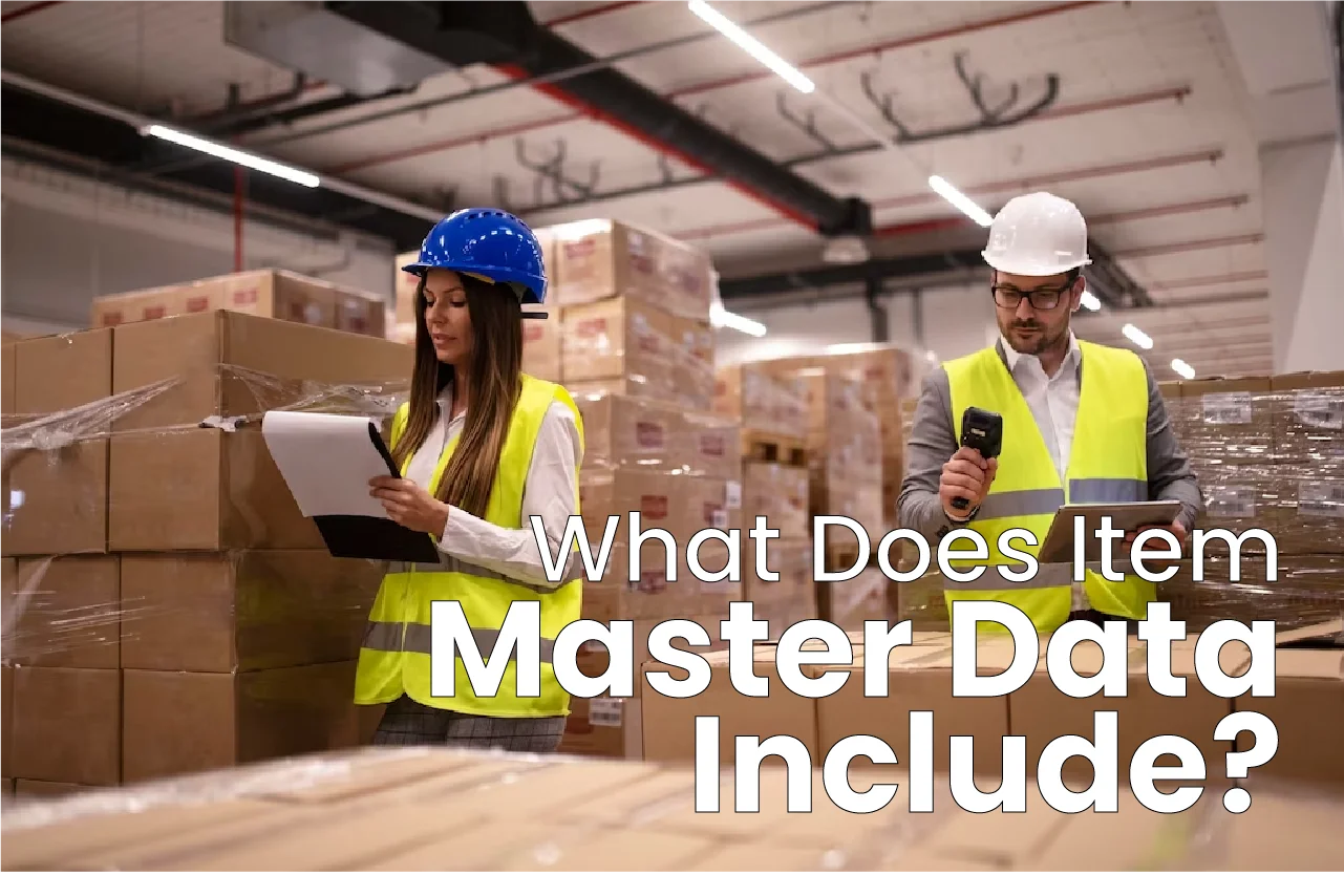 What Does Item Master Data Include?