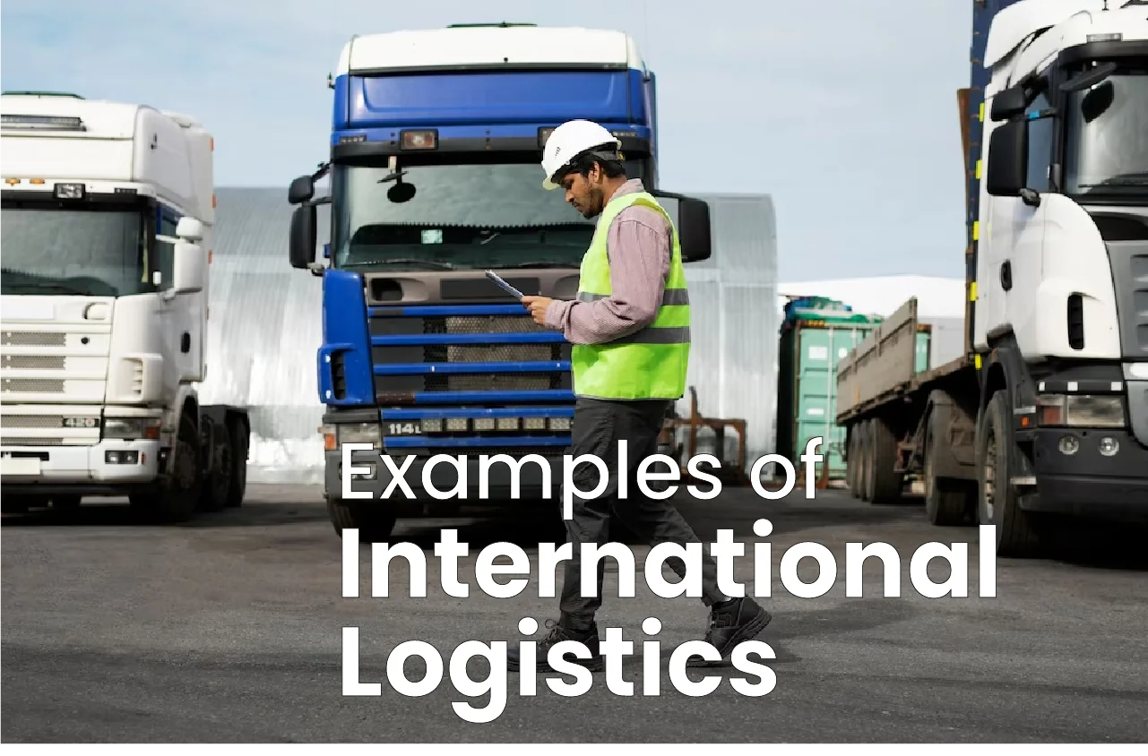 Examples of International Logistics