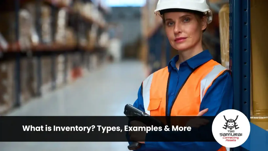 What is Inventory? Types, Examples & More