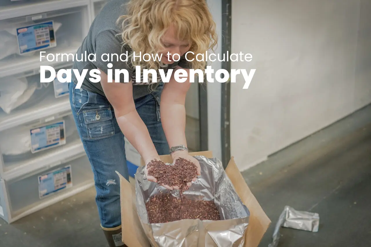 Days in Inventory Formula and How to Calculate