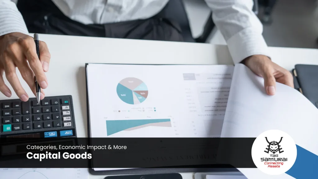 Capital Goods: Categories, Economic Impact & More