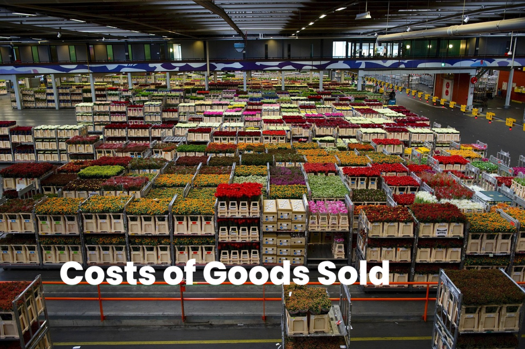 Costs of Goods Sold