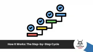 How It Works: The Step-by-Step Cycle