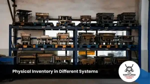 Physical Inventory in Different Systems