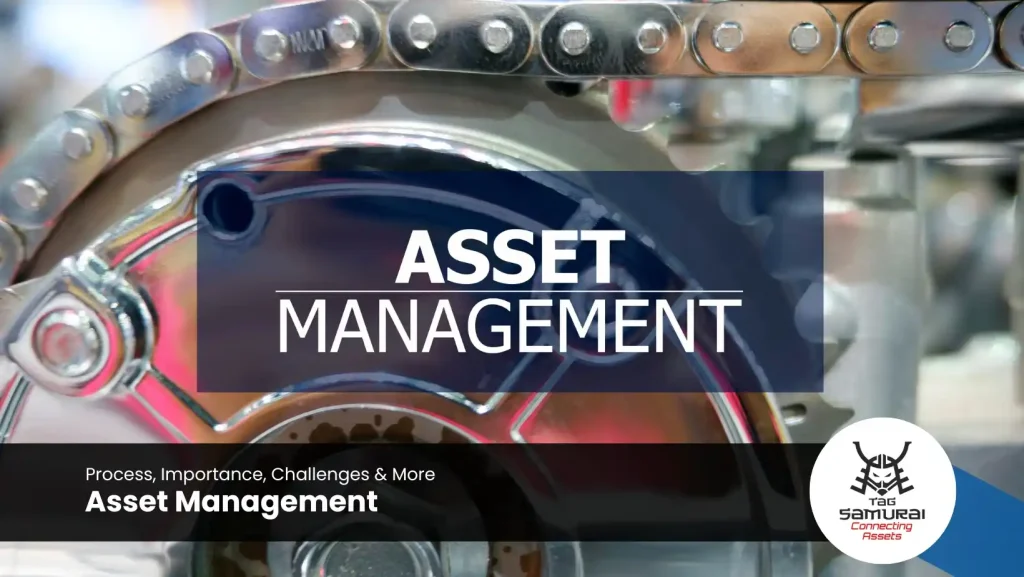 Asset Management: Process, Importance, Challenges, More