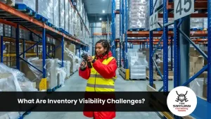 What Are Inventory Visibility Challenges