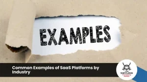 Common Examples of SaaS Platforms by Industry