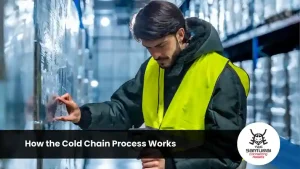 How the Cold Chain Process Works