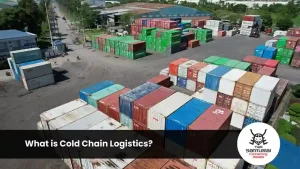 What is Cold Chain Logistics?