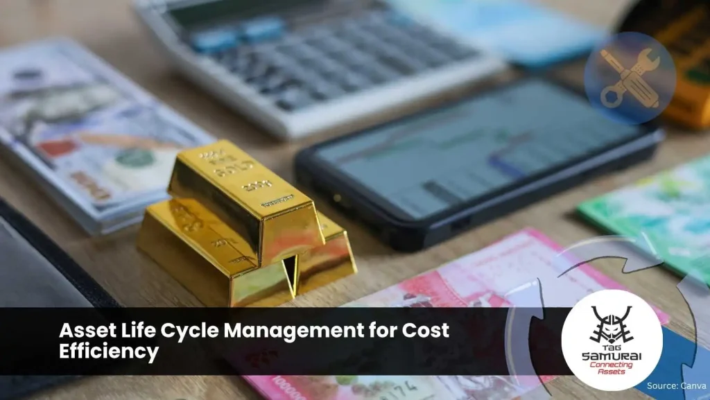 Asset Life Cycle Management for Cost Efficiency