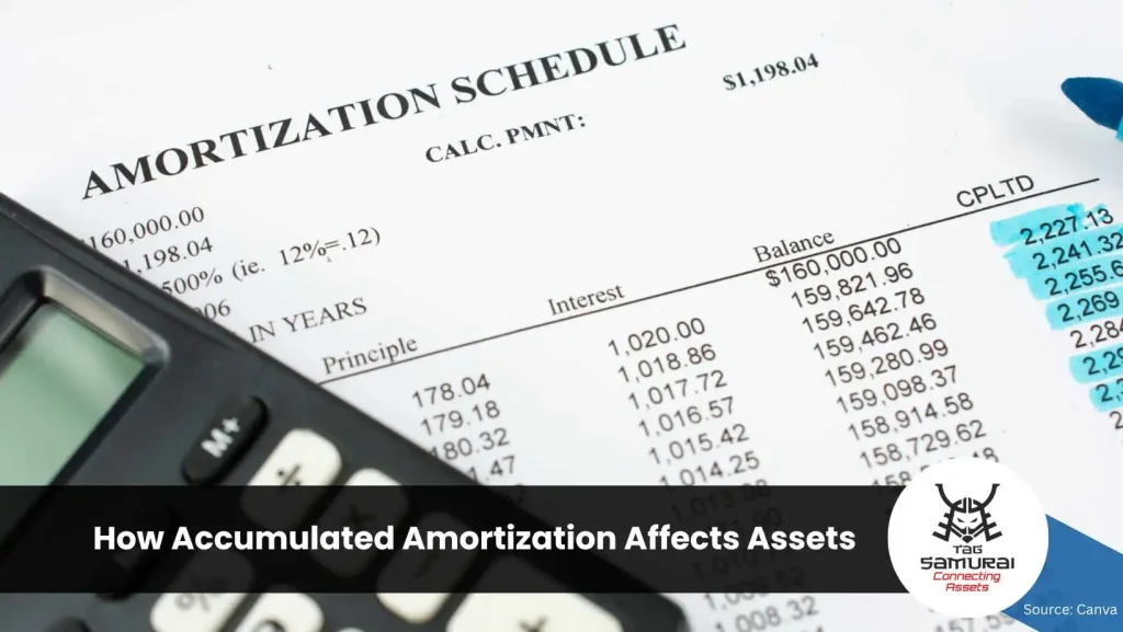How Accumulated Amortization Affects Assets